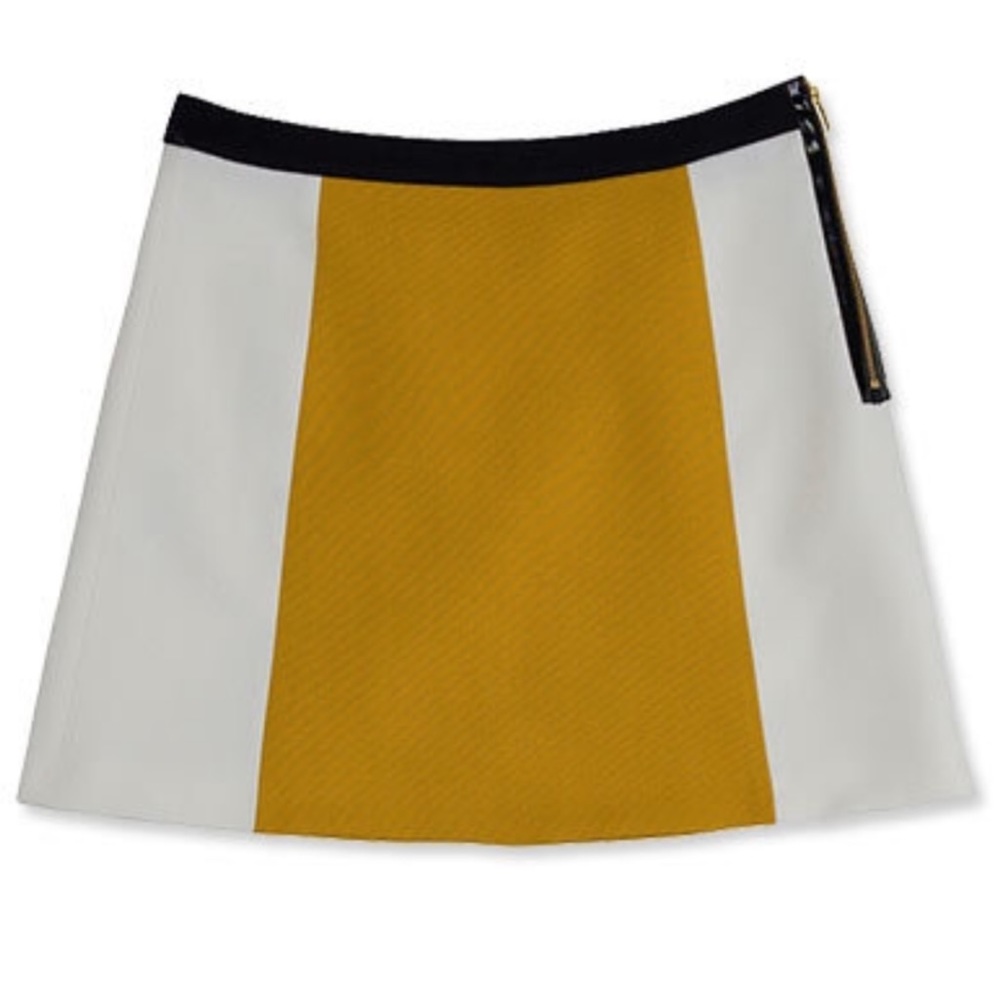 Zara Colorblock Mini Skirt
